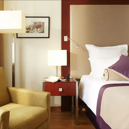 Clarion Paris Cdg Airport 酒店 4*