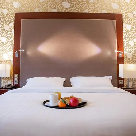 Clarion Paris Cdg Airport 酒店 4*